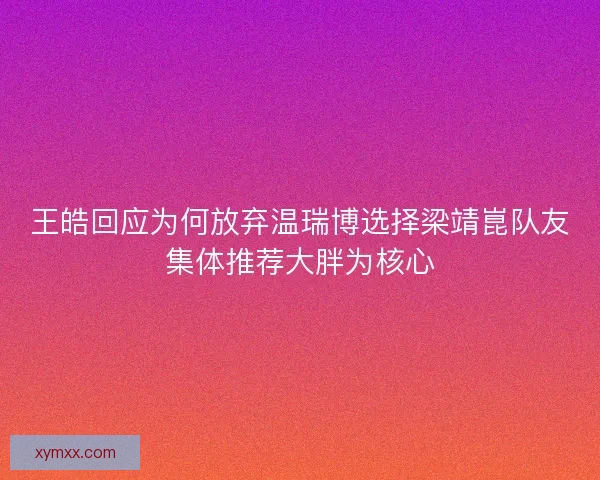 王皓回应为何放弃温瑞博选择梁靖崑队友集体推荐大胖为核心